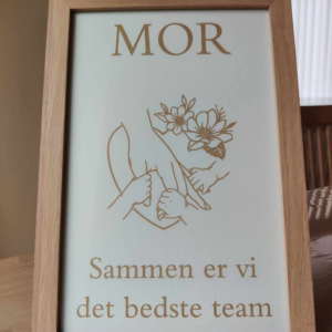 mor+3 team